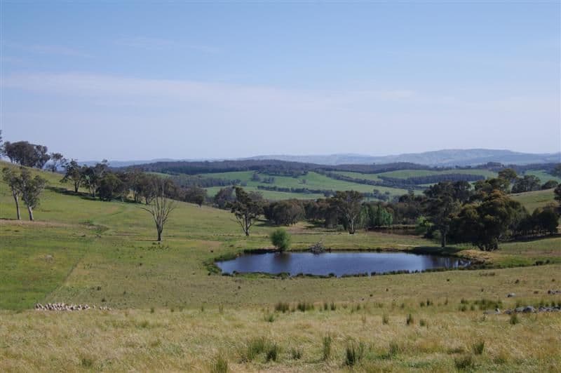 306 Clifton Ring Road, HOLBROOK NSW 2644, Holbrook - Thumbnail 4