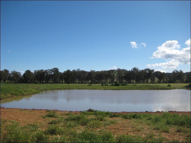 CANOWINDRA NSW 2804, Canowindra - Thumbnail 3
