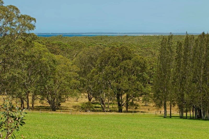 32 Coomonderry Ridge, BERRY NSW 2535, Berry - Thumbnail 5