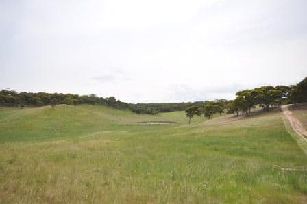 316 Lynch Road, MAUDE VIC 3331, Maude - Image 1