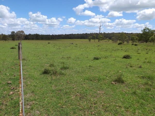 0 Off Starvation Lane (Mirannie Road, SINGLETON NSW 2330, Singleton - Thumbnail 8