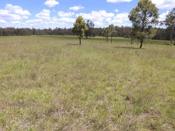 0 Off Starvation Lane (Mirannie Road, SINGLETON NSW 2330, Singleton - Thumbnail 6