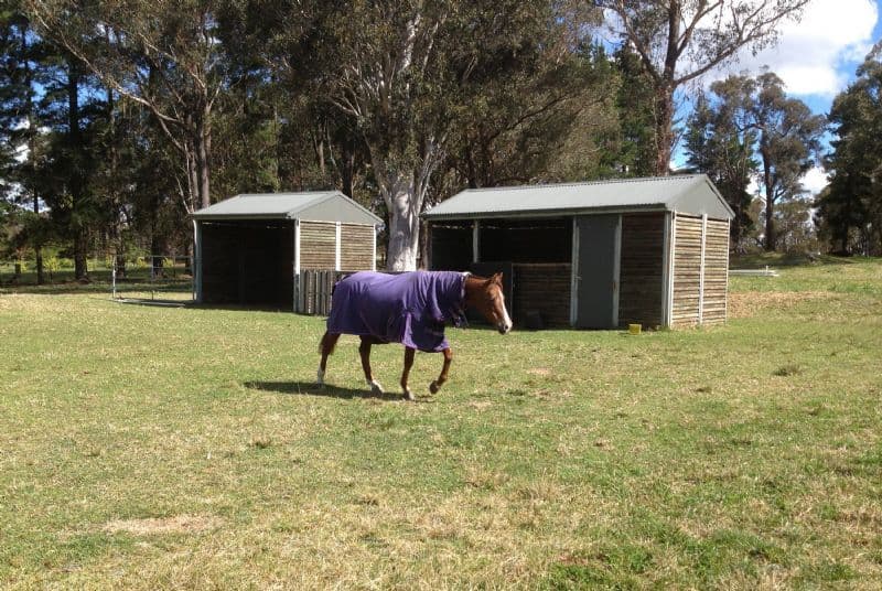 1451 Wombeyan Caves Road, HIGH RANGE NSW 2575, High Range - Thumbnail 5