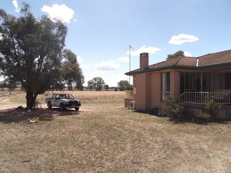 117 Jukes Lane, COWRA NSW 2794, Cowra - Thumbnail 8