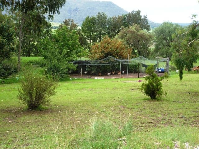534 Swanfels Road, Swanfels, WARWICK QLD 4370, Warwick - Thumbnail 7