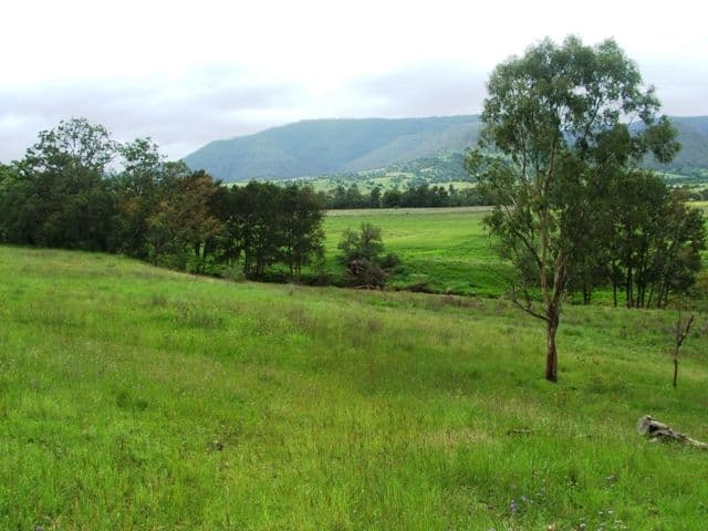 534 Swanfels Road, Swanfels, WARWICK QLD 4370, Warwick - Thumbnail 5