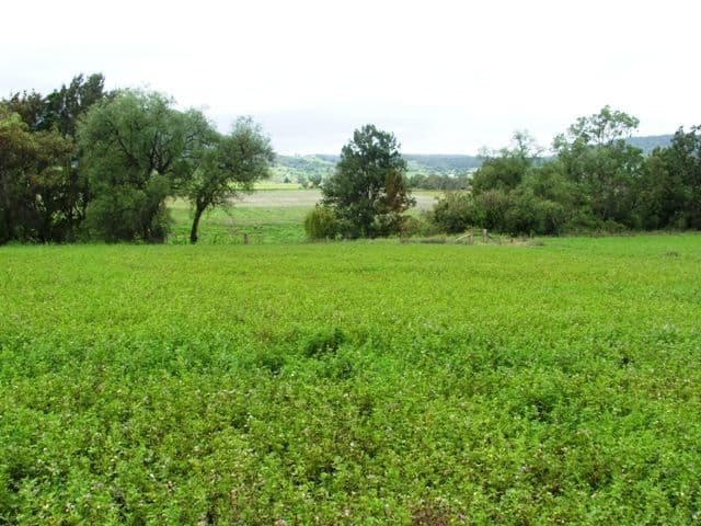 534 Swanfels Road, Swanfels, WARWICK QLD 4370, Warwick - Thumbnail 8