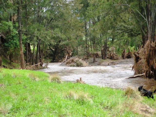 534 Swanfels Road, Swanfels, WARWICK QLD 4370, Warwick - Thumbnail 4