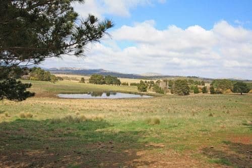 3817 Kings Highway, BUNGENDORE NSW 2621, Bungendore - Thumbnail 2
