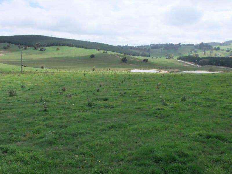 809 Dark Corner Road, LITHGOW NSW 2790, Lithgow - Thumbnail 7