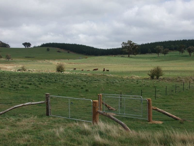 809 Dark Corner Road, LITHGOW NSW 2790, Lithgow - Thumbnail 6