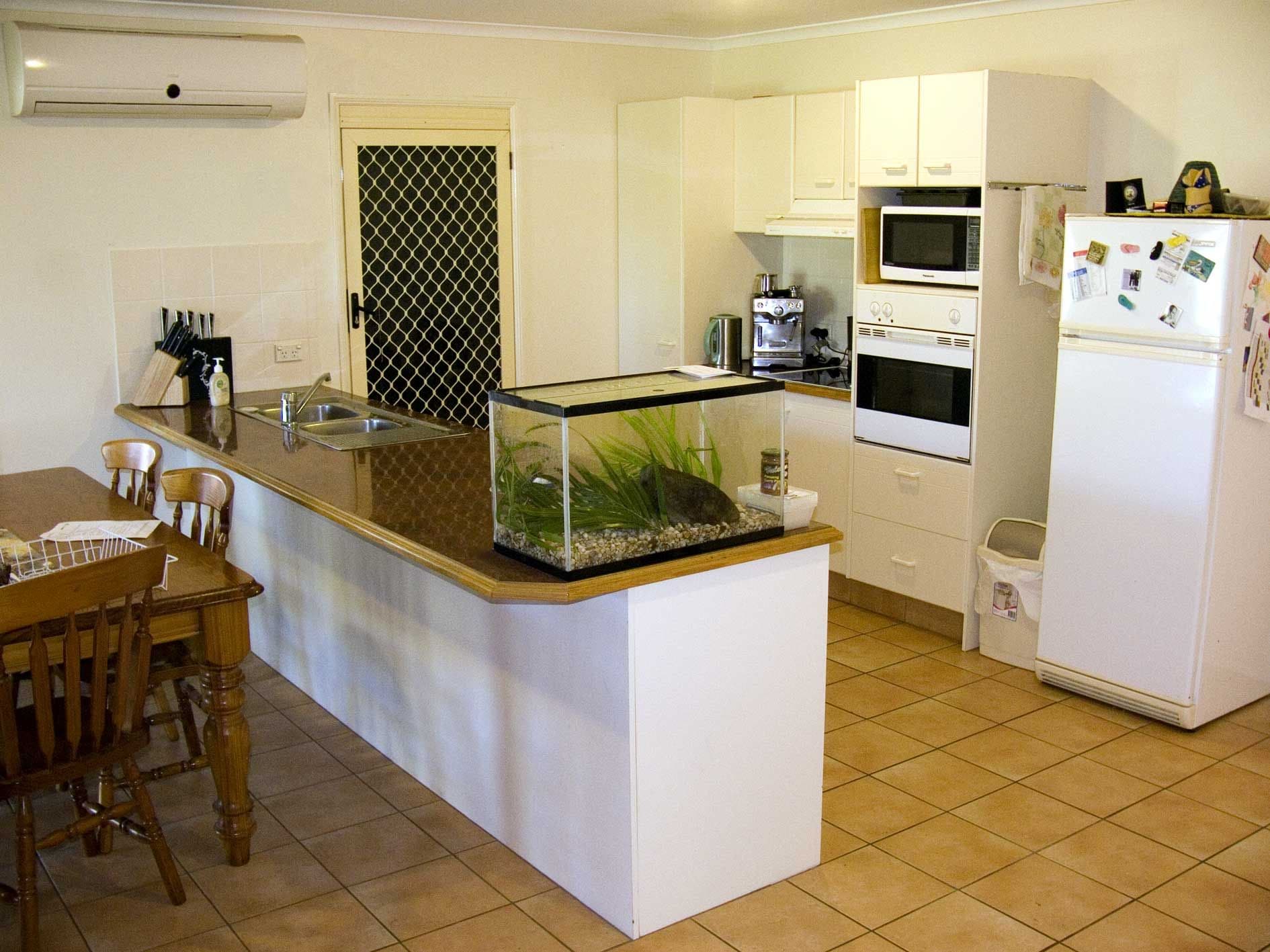 24 Blueash Crescent, OXENFORD QLD 4210, Oxenford - Thumbnail 3