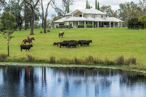 401 Coleyville Road, MUTDAPILLY QLD 4307, Mutdapilly - Image 1