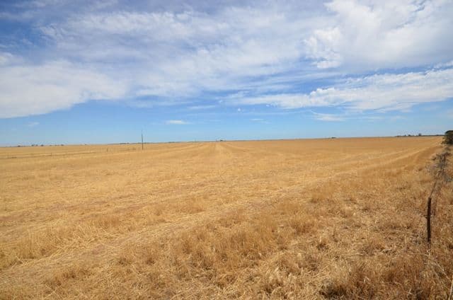 Lot 2 "Smith's" and "McArdles", WILD HORSE PLAINS SA 5501, Wild Horse Plains - Image 1