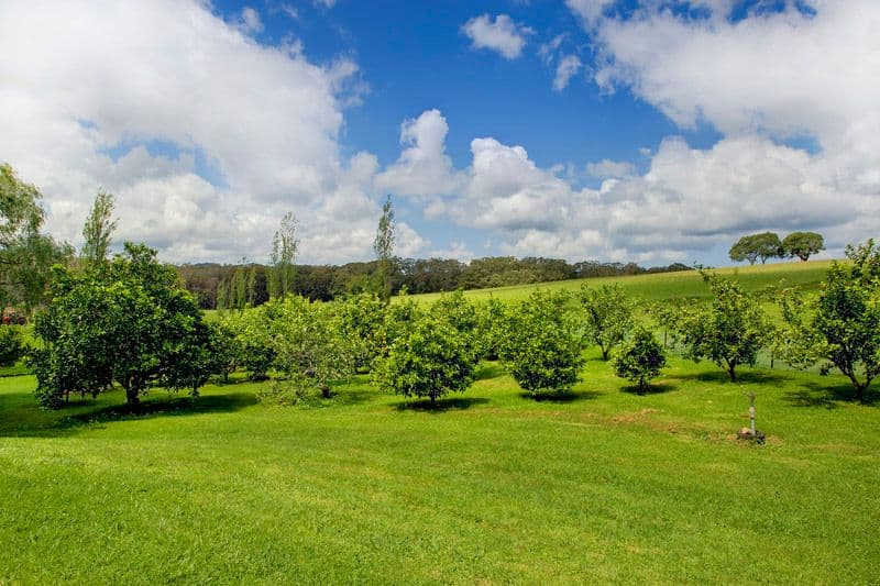 981 Belmore Falls Road, WILDES MEADOW NSW 2577, Wildes Meadow - Thumbnail 8
