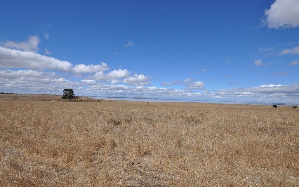 CA 3/3 Robertson Street, FOXHOW  Victoria  3323, Australia, Foxhow - Image 1