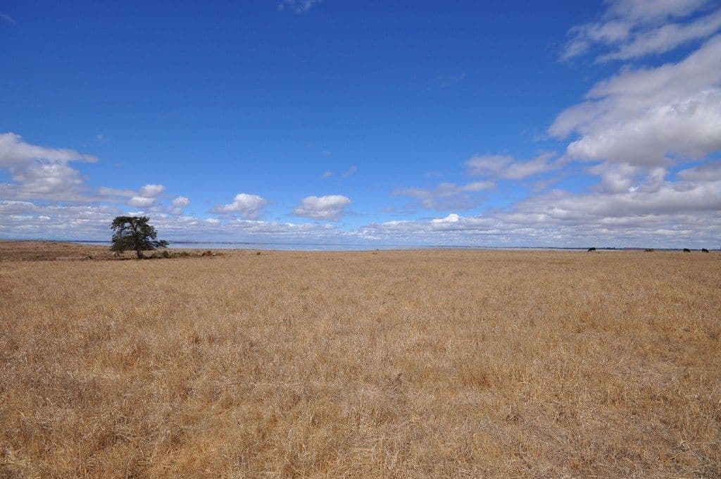 CA 1/3 Robertson Street, FOXHOW  Victoria  3323, Australia, Foxhow - Thumbnail 2