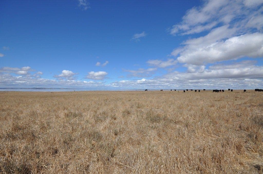CA 1/3 Robertson Street, FOXHOW  Victoria  3323, Australia, Foxhow - Thumbnail 3