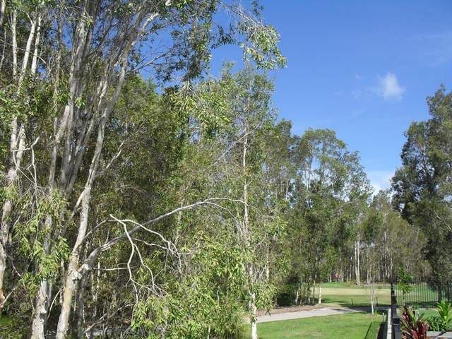 35 Augusta Circuit, PEREGIAN SPRINGS QLD 4573, Peregian Springs - Thumbnail 2