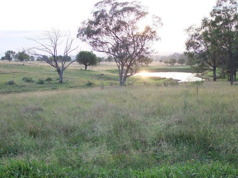 * 'MURRUMBONG', PURLEWAUGH NSW 2357, Purlewaugh - Thumbnail 2