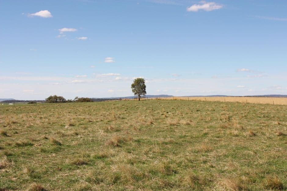 3967 Murringo Road, YOUNG NSW 2594, Young - Thumbnail 4