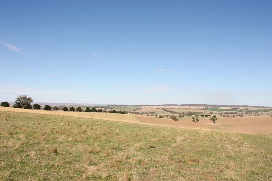 3967 Murringo Road, YOUNG NSW 2594, Young - Image 1