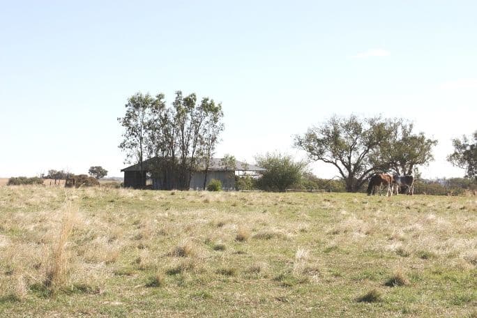 3967 Murringo Road, YOUNG NSW 2594, Young - Thumbnail 6