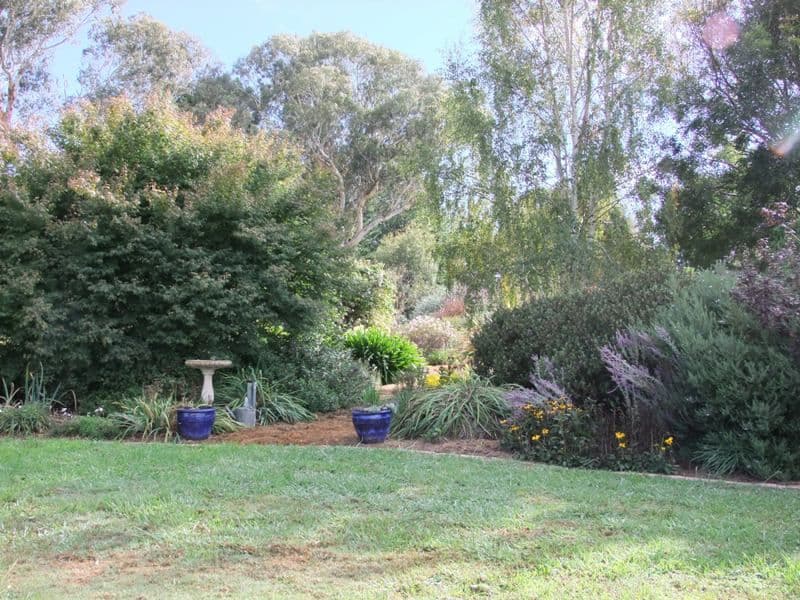 345 Vittoria Road, BATHURST NSW 2795, Bathurst - Thumbnail 4