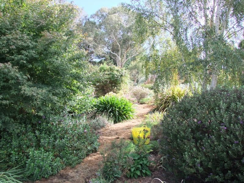 345 Vittoria Road, BATHURST NSW 2795, Bathurst - Thumbnail 5