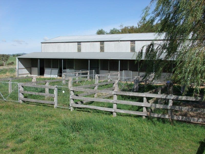 345 Vittoria Road, BATHURST NSW 2795, Bathurst - Thumbnail 3