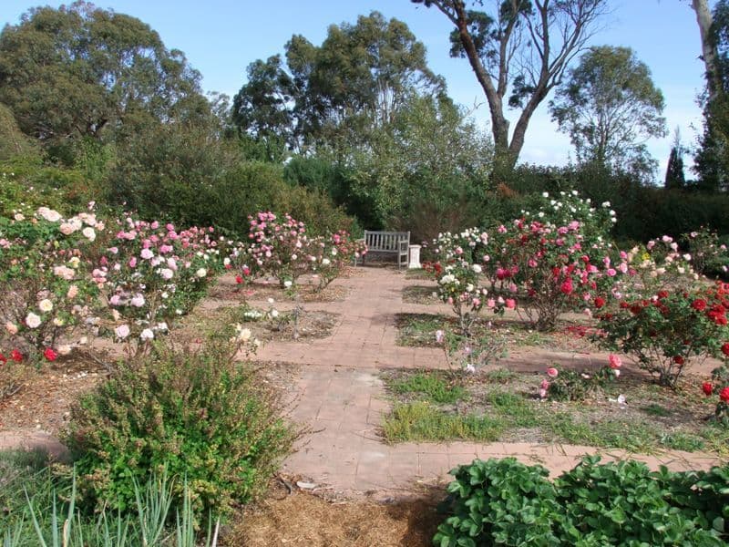 345 Vittoria Road, BATHURST NSW 2795, Bathurst - Thumbnail 6