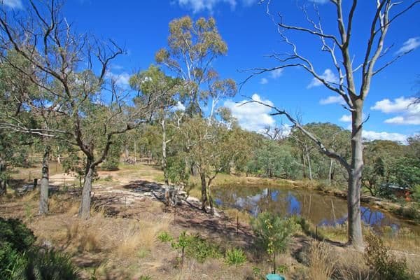 1135 Norton Road, WAMBOIN NSW 2620, Wamboin - Thumbnail 6