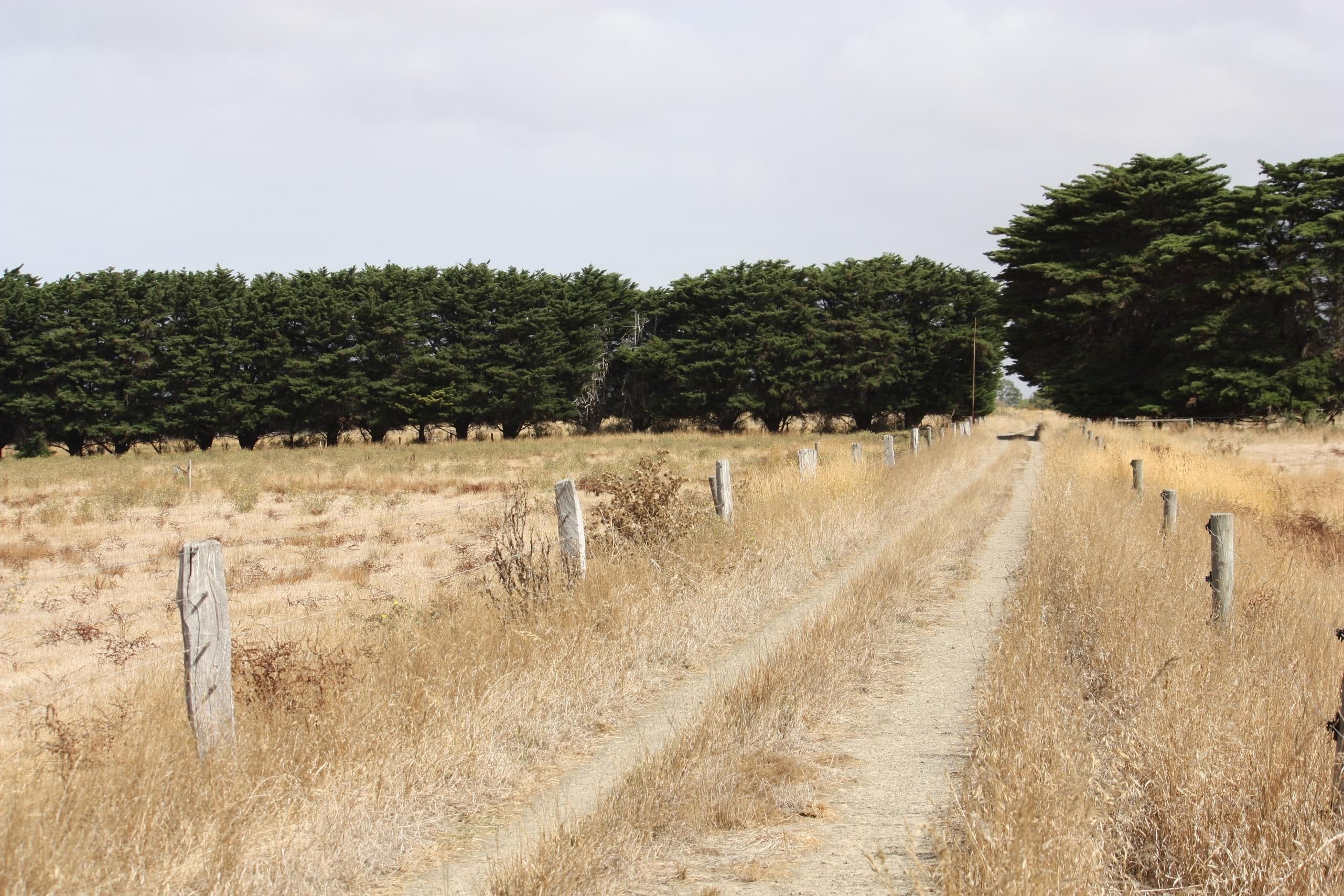 KOROIT VIC 3282, Koroit - Thumbnail 3