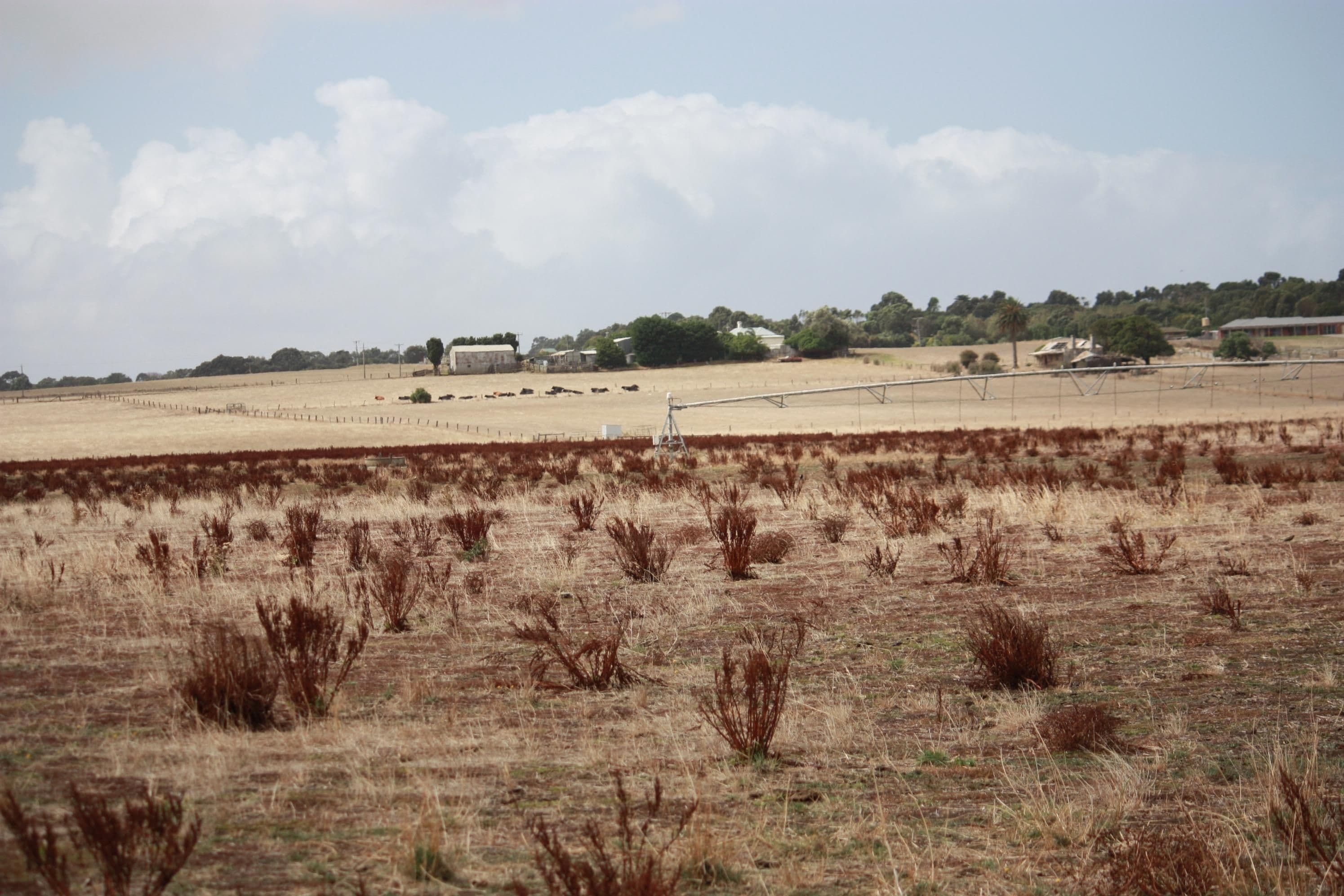 KOROIT VIC 3282, Koroit - Thumbnail 8