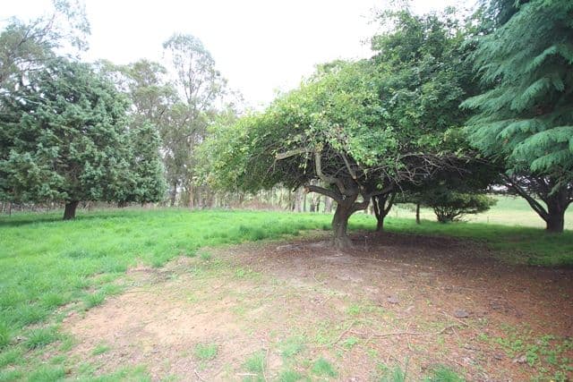 Lot 3 519 Nunans Hill Road, OBERON NSW 2787, Oberon - Thumbnail 5