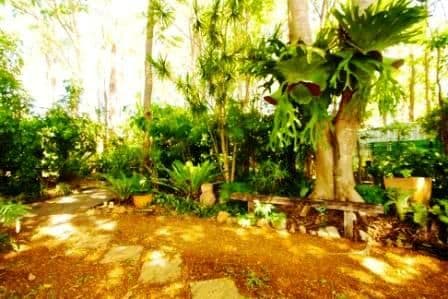 11 Narcamus Crescent, SHAILER PARK QLD 4128, Shailer Park - Thumbnail 4