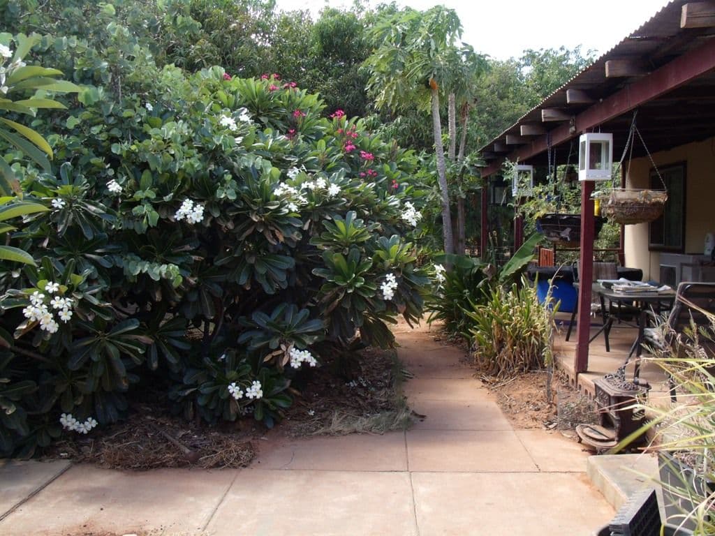 500 Robinson Street, CARNARVON WA 6701, South Carnarvon - Image 1