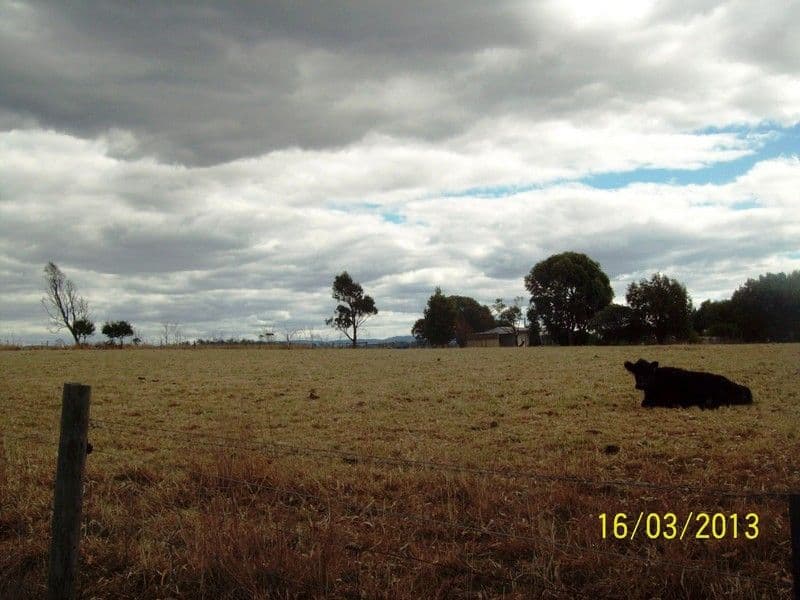 515 Rowella Road, ROWELLA TAS 7270, Rowella - Thumbnail 3