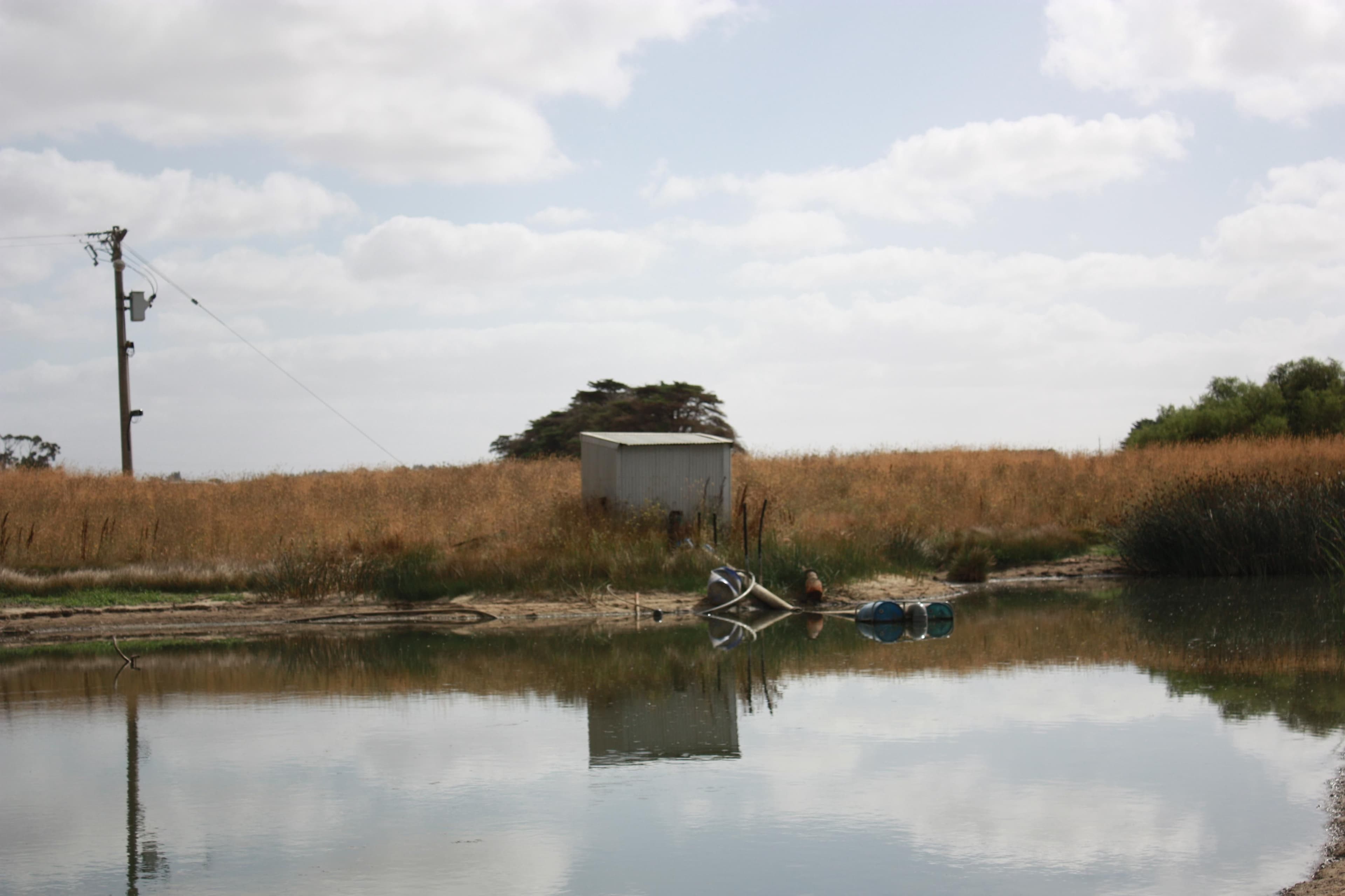 KOROIT VIC 3282, Koroit - Thumbnail 5