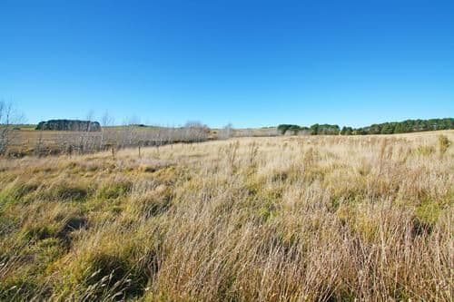 199 Mt Fairy Road, MOUNT FAIRY NSW 2580, Mount Fairy - Thumbnail 2