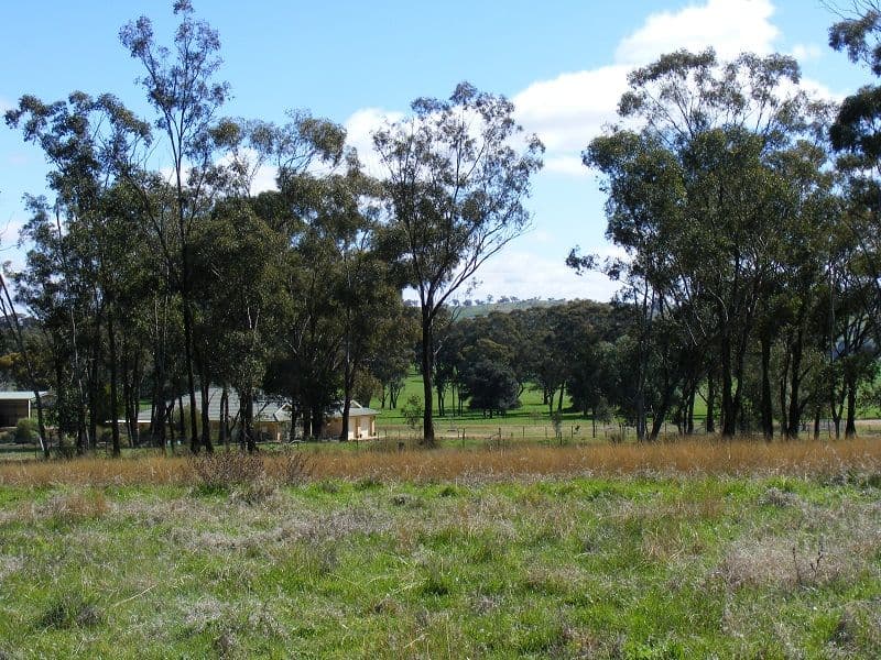 Lot 29 Battalion Drive, COWRA NSW 2794, Cowra - Thumbnail 8