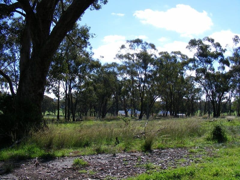 Lot 29 Battalion Drive, COWRA NSW 2794, Cowra - Thumbnail 5