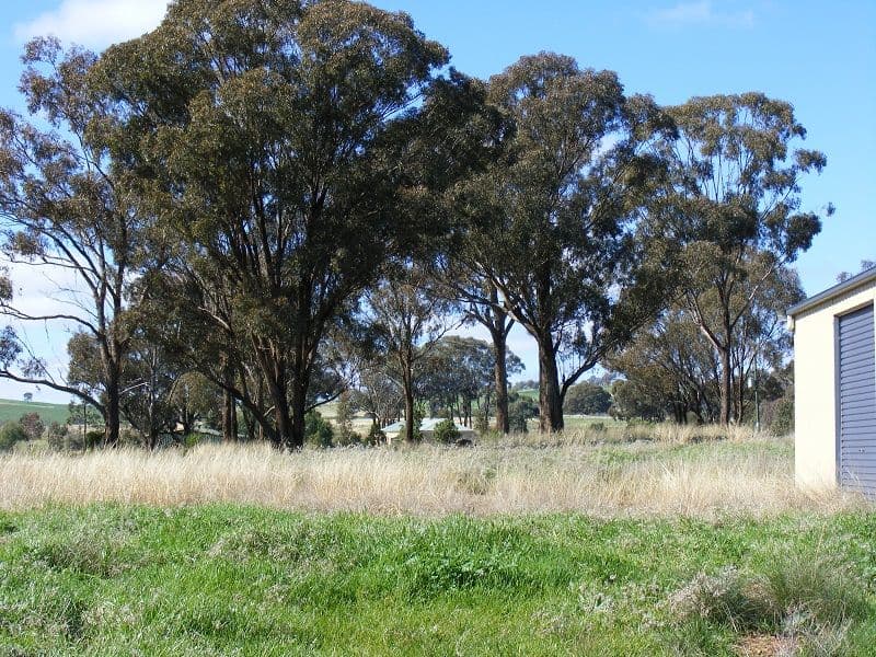 Lot 29 Battalion Drive, COWRA NSW 2794, Cowra - Thumbnail 3