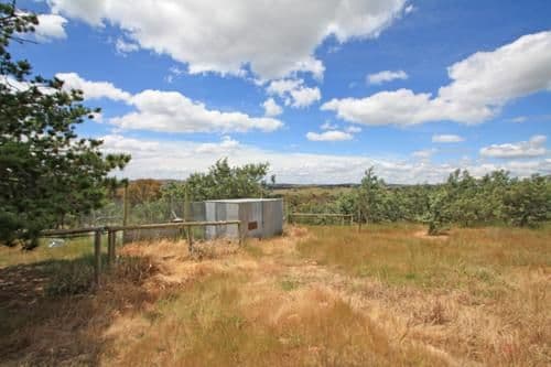 241 Bingley Way, WAMBOIN NSW 2620, Wamboin - Thumbnail 3
