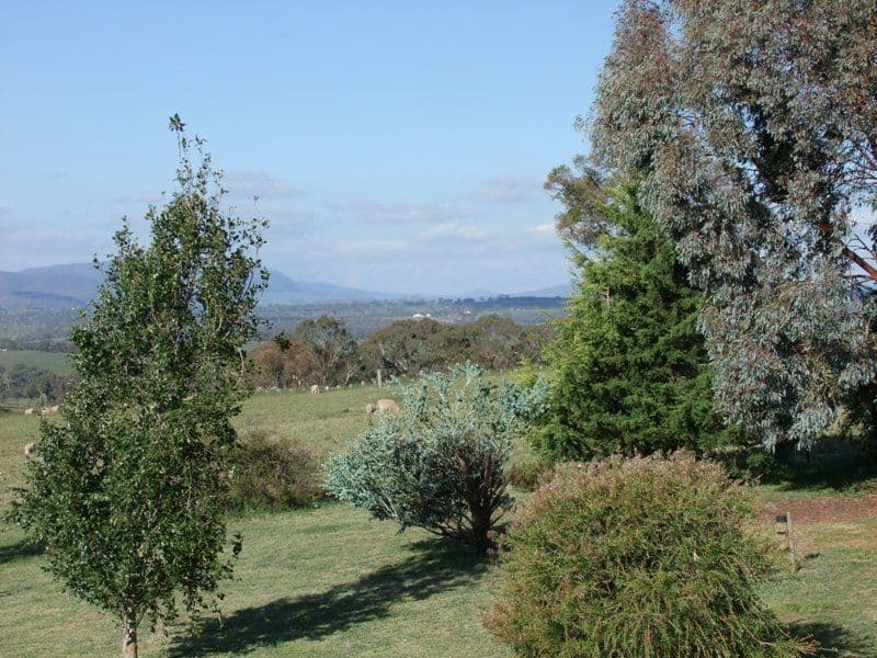 124 Purdons Lane, O'CONNELL NSW 2795, O'Connell - Thumbnail 8