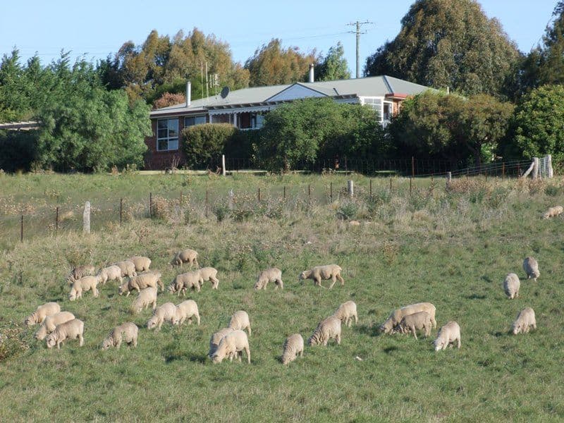 124 Purdons Lane, O'CONNELL NSW 2795, O'Connell - Thumbnail 4