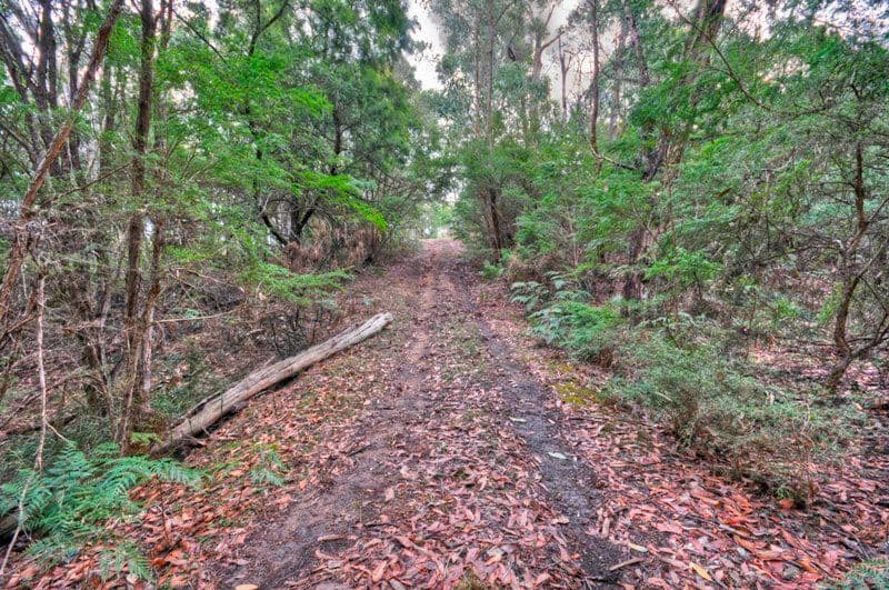 13 FORDS Road, GRUYERE VIC 3770, Gruyere - Thumbnail 6