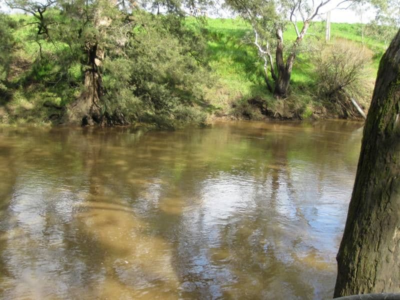 0 Maccarther Onslow Road, CANOWINDRA NSW 2804, Canowindra - Image 1