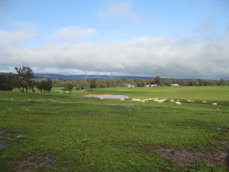 0 Maccarther Onslow Road, CANOWINDRA NSW 2804, Canowindra - Thumbnail 8