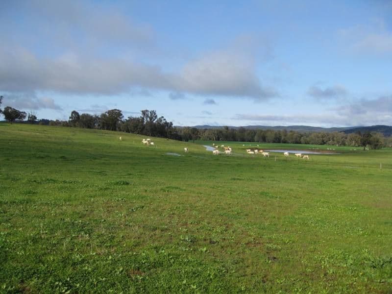 0 Maccarther Onslow Road, CANOWINDRA NSW 2804, Canowindra - Thumbnail 2